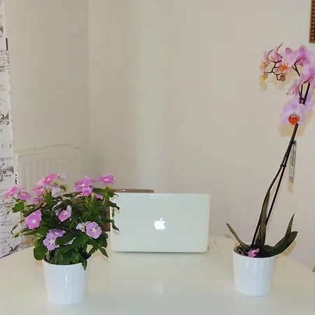 Couette-café In Itinera 4*
