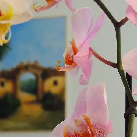 Bed and breakfast In Itinera Palermo